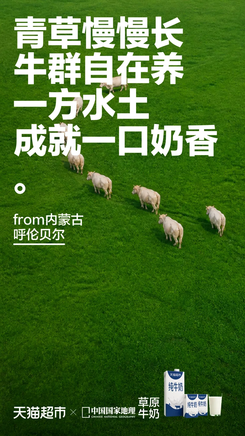 产地-诗歌 · 创意延展 04