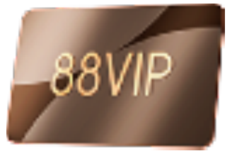 88VIP 卡片图标